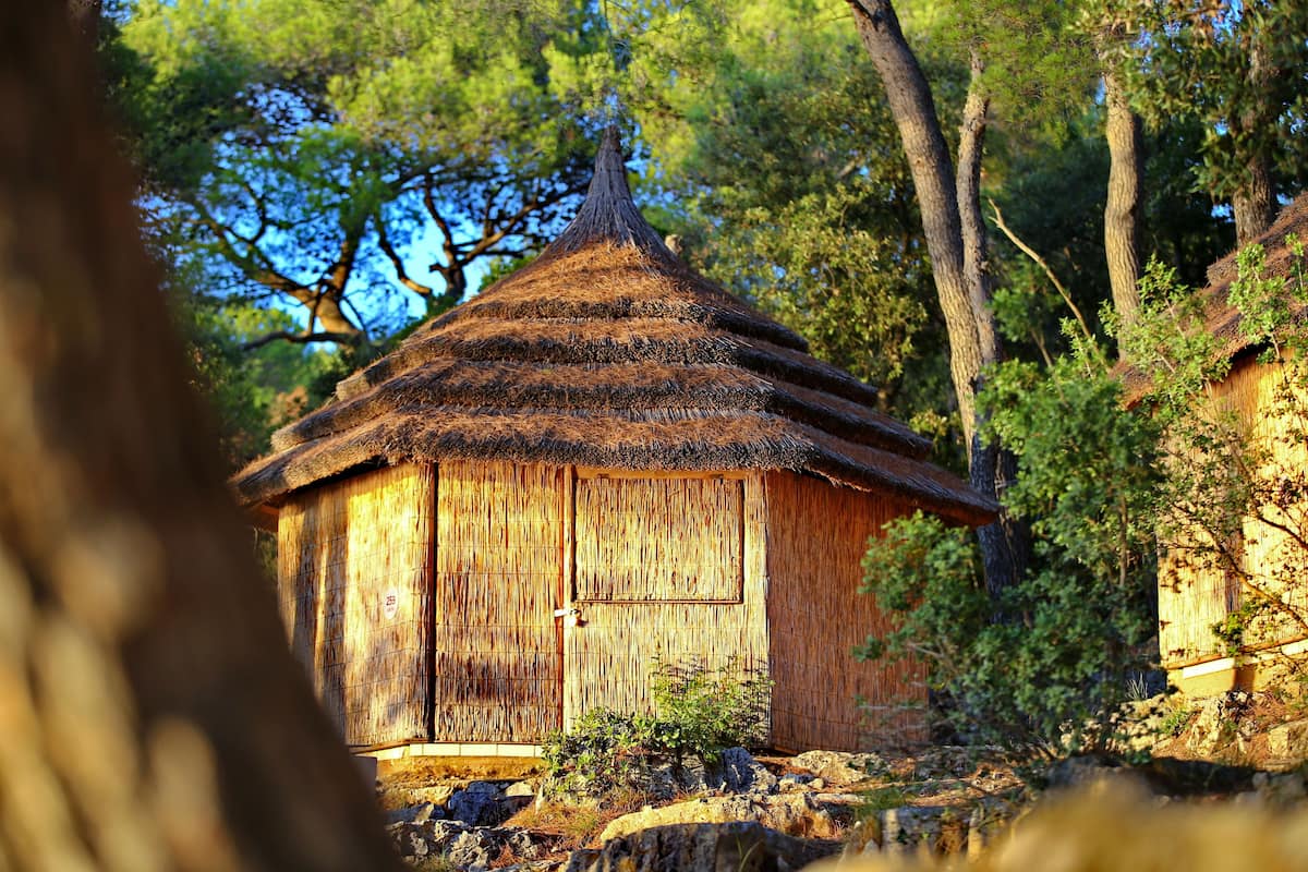 A rustic wooden hut with a thatched roof, surrounded by trees and rocks.