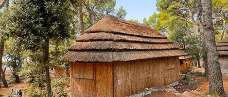 A rustic wooden hut with a thatched roof, surrounded by trees and a dirt path.