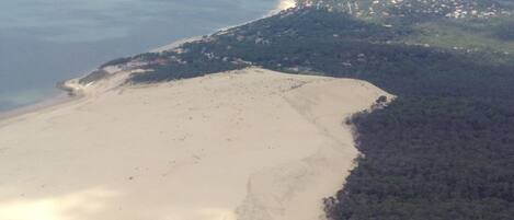 An aerial view of a beach with a forested area and a small settlement in the background.