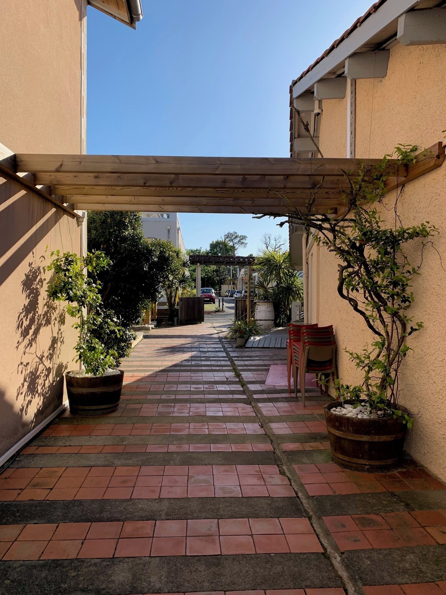 A narrow paved pathway with potted plants on either side, leading to a building entrance.