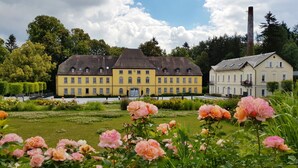 Uklassifisert bilde, 4 av 74, knapp
