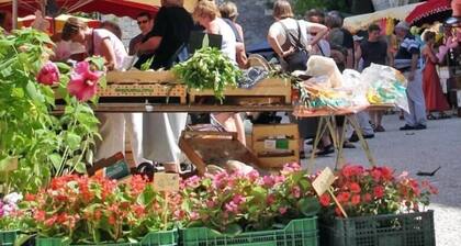 Hôtel La Dame Du Lac