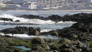A coastal town with rocky shoreline and buildings in the background. - Small Bay Guest House (Cape Town)