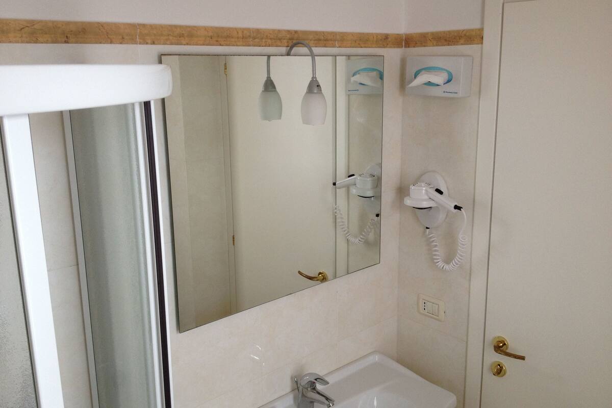 shower, free toiletries, hair dryer, bidet
