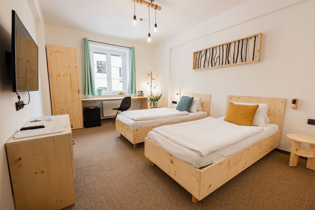 A room with two wooden beds, a desk, a chair, a TV, and a window with curtains.