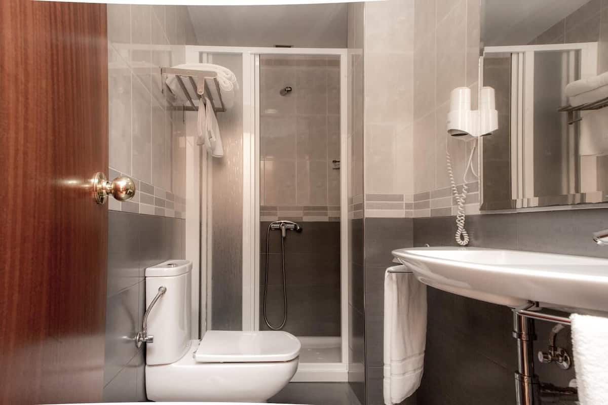 shower, free toiletries, hair dryer, towels