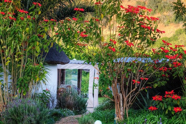 Cottage, 2 Bedrooms, Mountain View (Self Catering) | View from room