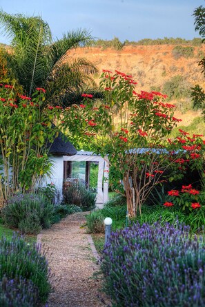 Cottage, 2 Bedrooms, Mountain View (Self Catering) | View from room - De Old Drift Guest Farm (Addo)