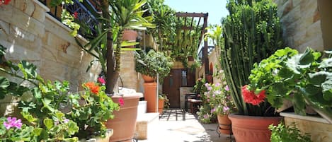 A narrow courtyard with potted plants and a wooden pergola.