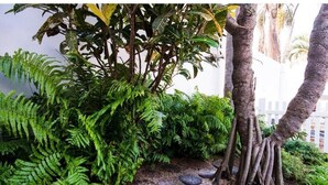 Un jardin intérieur luxuriant, avec une variété de plantes et d’arbres, dont un grand palmier qui se distingue.