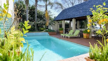 Alberca al aire libre, sombrillas en la alberca y camastros