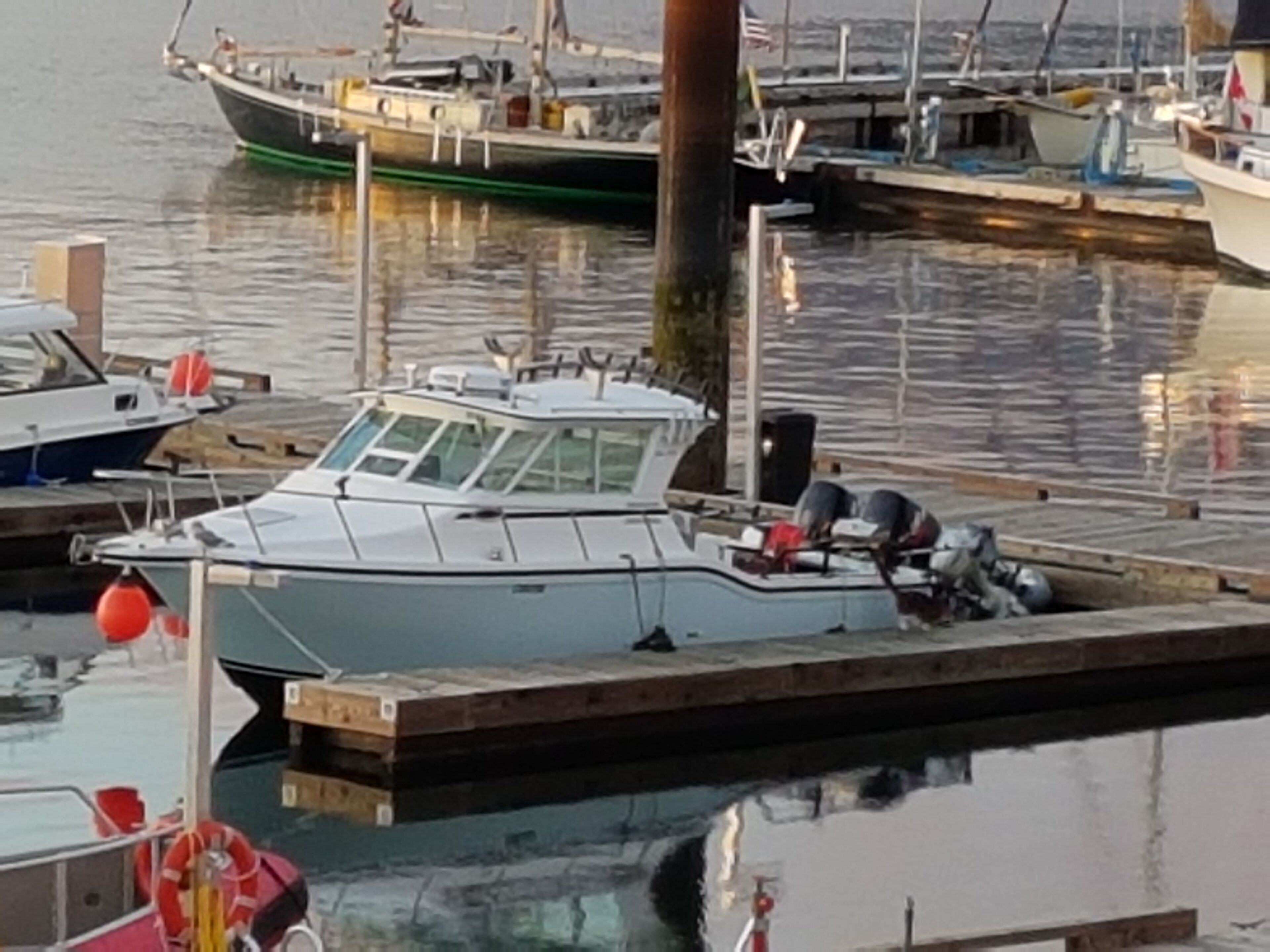 Un puerto deportivo con varias embarcaciones amarradas a muelles de madera.