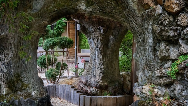Un arc de pedra rústic que dona pas a una construcció de fusta amb un jardí.