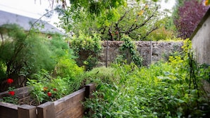 Jardí amb alçades, mur de pedra i diferents plantes.