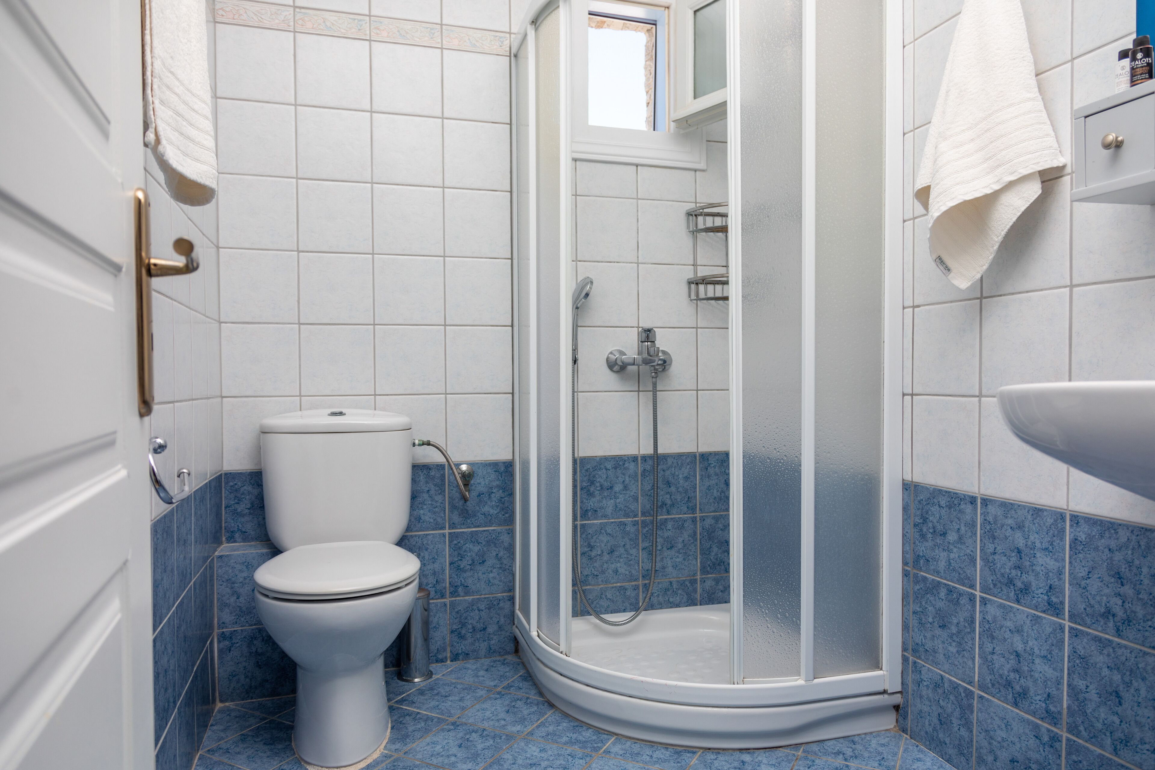 shower, free toiletries, hair dryer, bidet