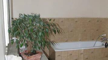 Un bany amb banyera, una planta en test i un lavabo de fusta.