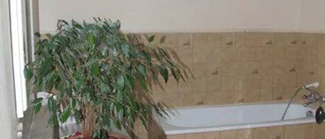 Casa de banho com banheira, planta em vaso e toucador de madeira.