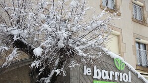 A building with a sign reading 'le barriol HOTEL & RESTAURANT' and a tree with snow on its branches.