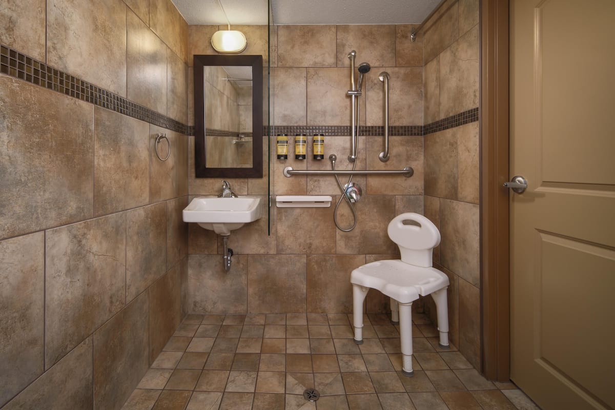 free toiletries, hair dryer, towels