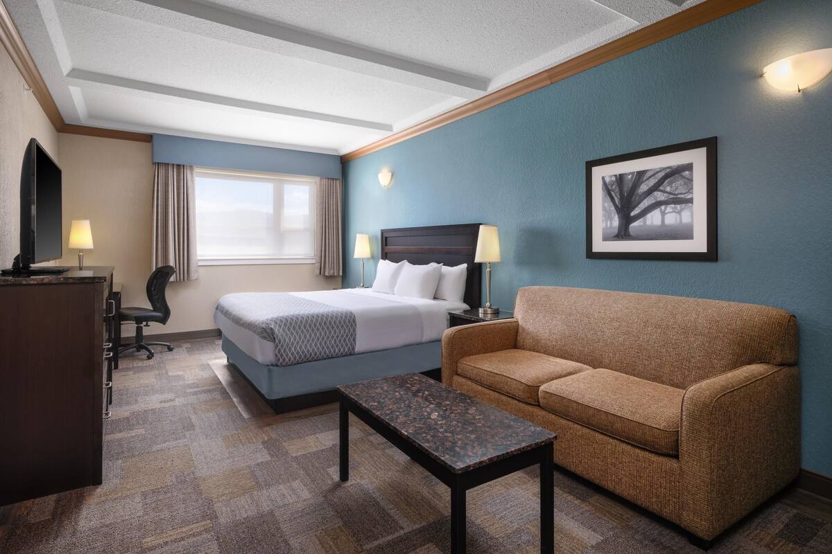 A hotel room with a bed, a sofa, a desk, a TV, and a lamp.