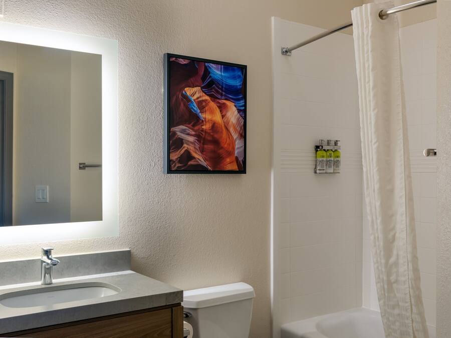Un baño con lavamanos, espejo, inodoro, cortina de ducha y un cuadro enmarcado en la pared.