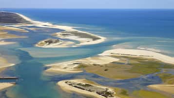 Nær stranden og hvit sand