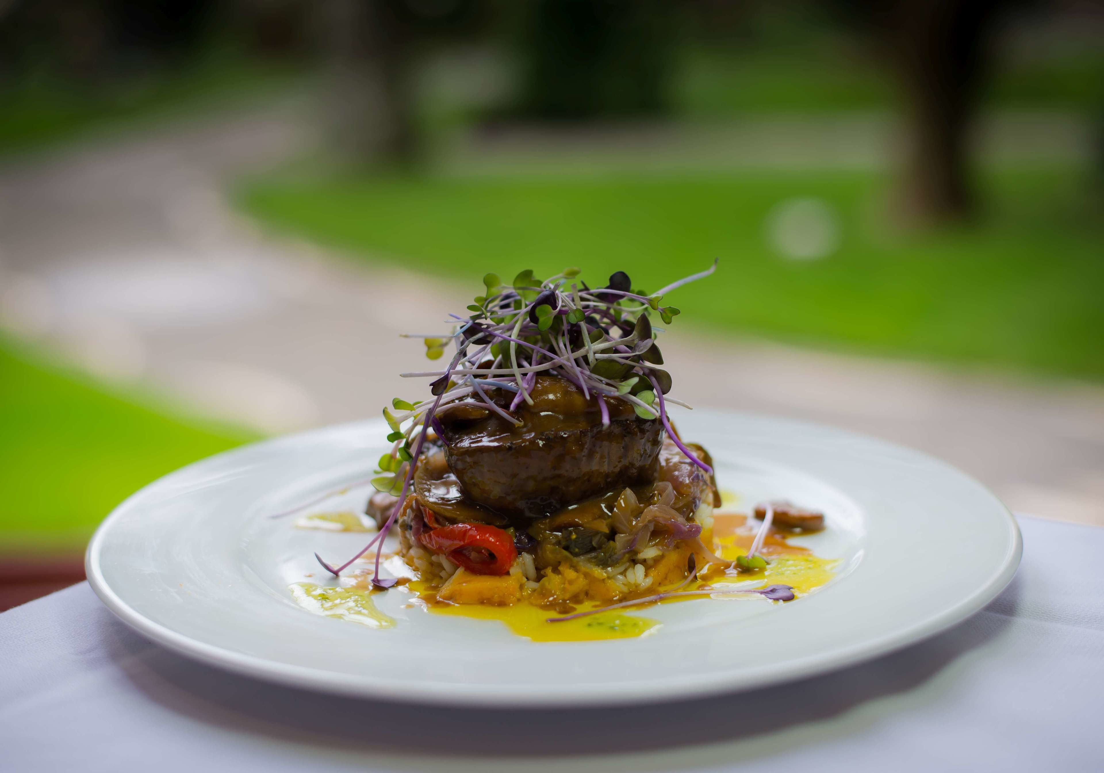 A plate of food with a meat centerpiece, garnished with microgreens, served on a white plate.