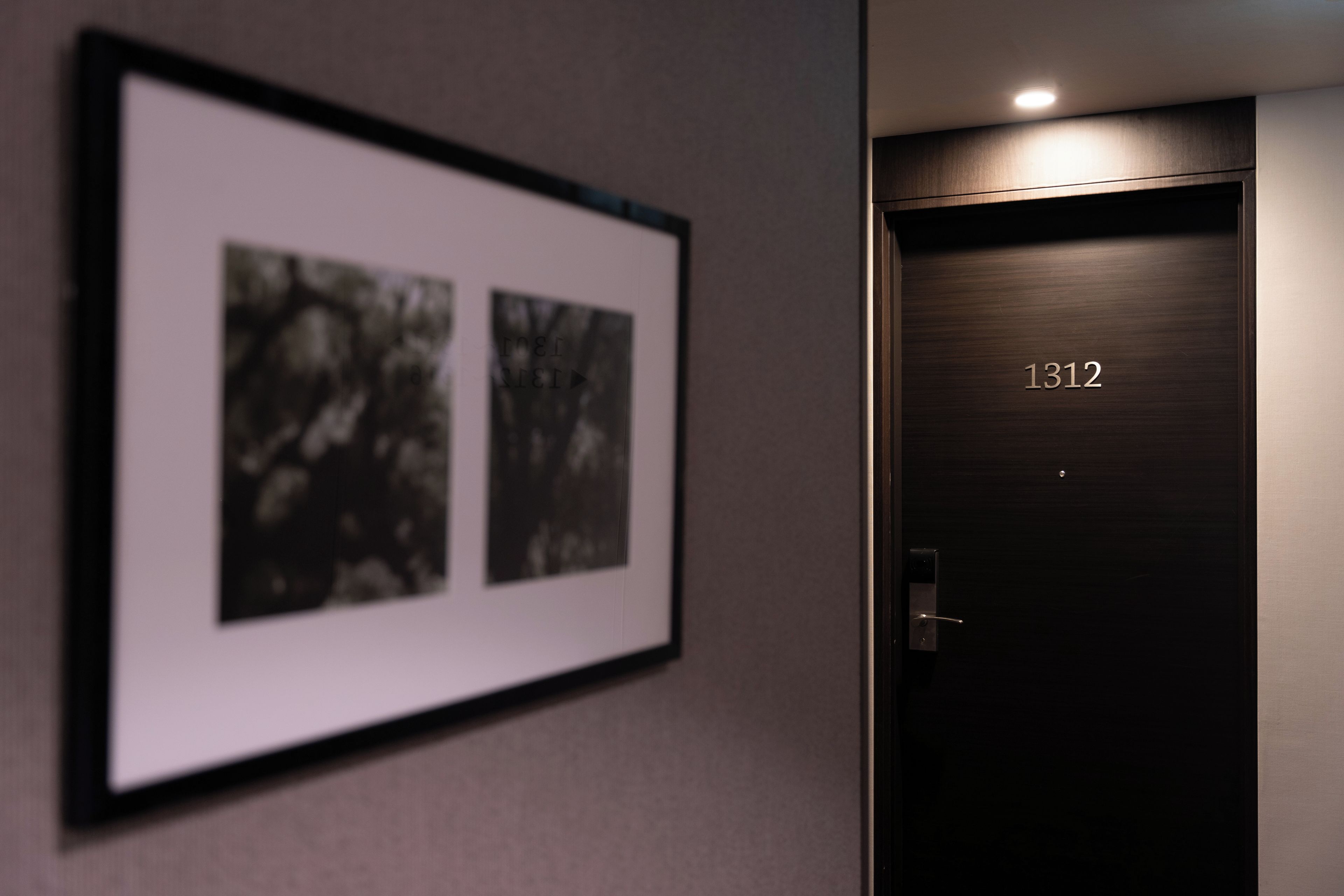 A framed photograph on the wall and a dark wooden door with the number '1312' on it.