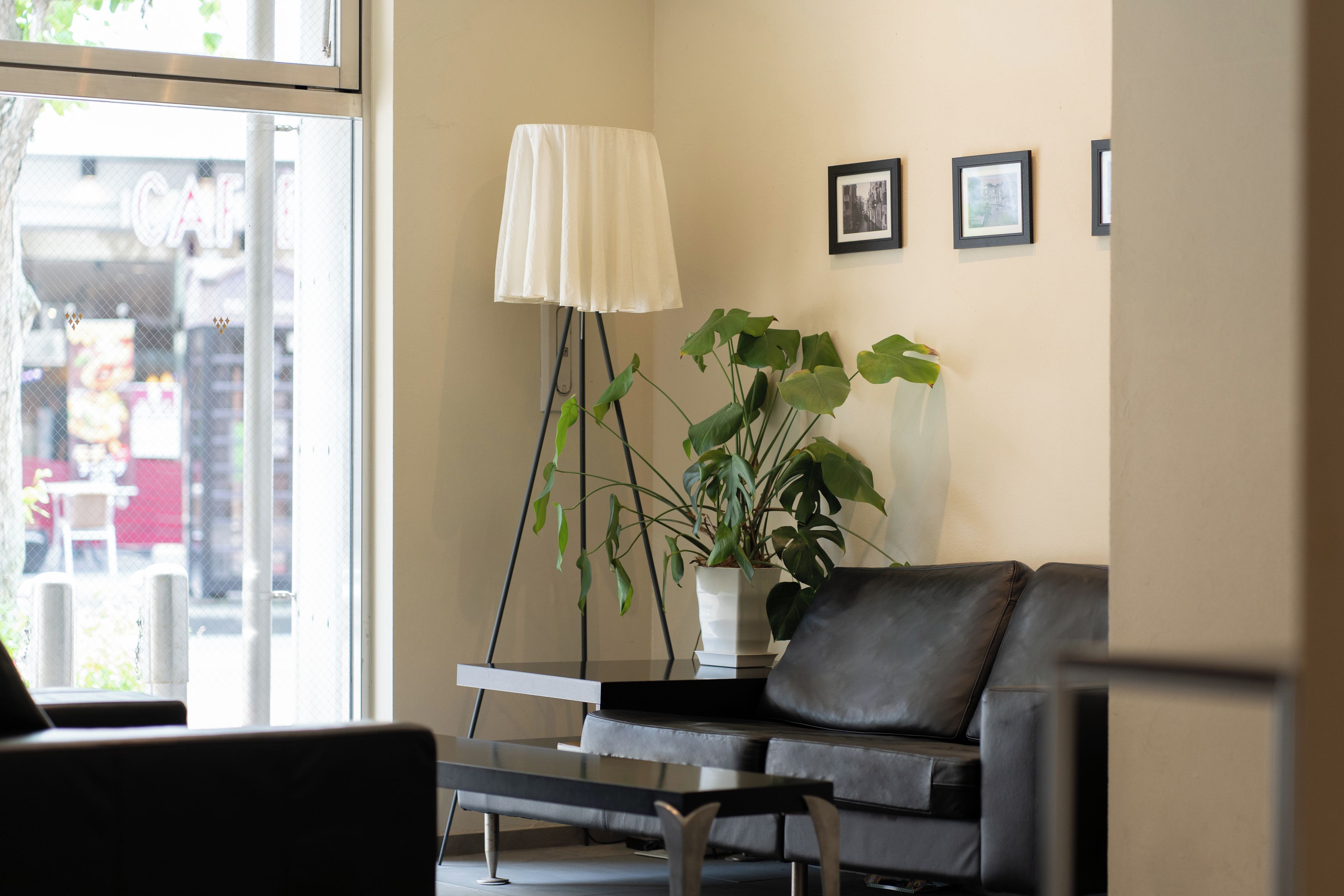 A room with a sofa, a floor lamp, and a potted plant.
