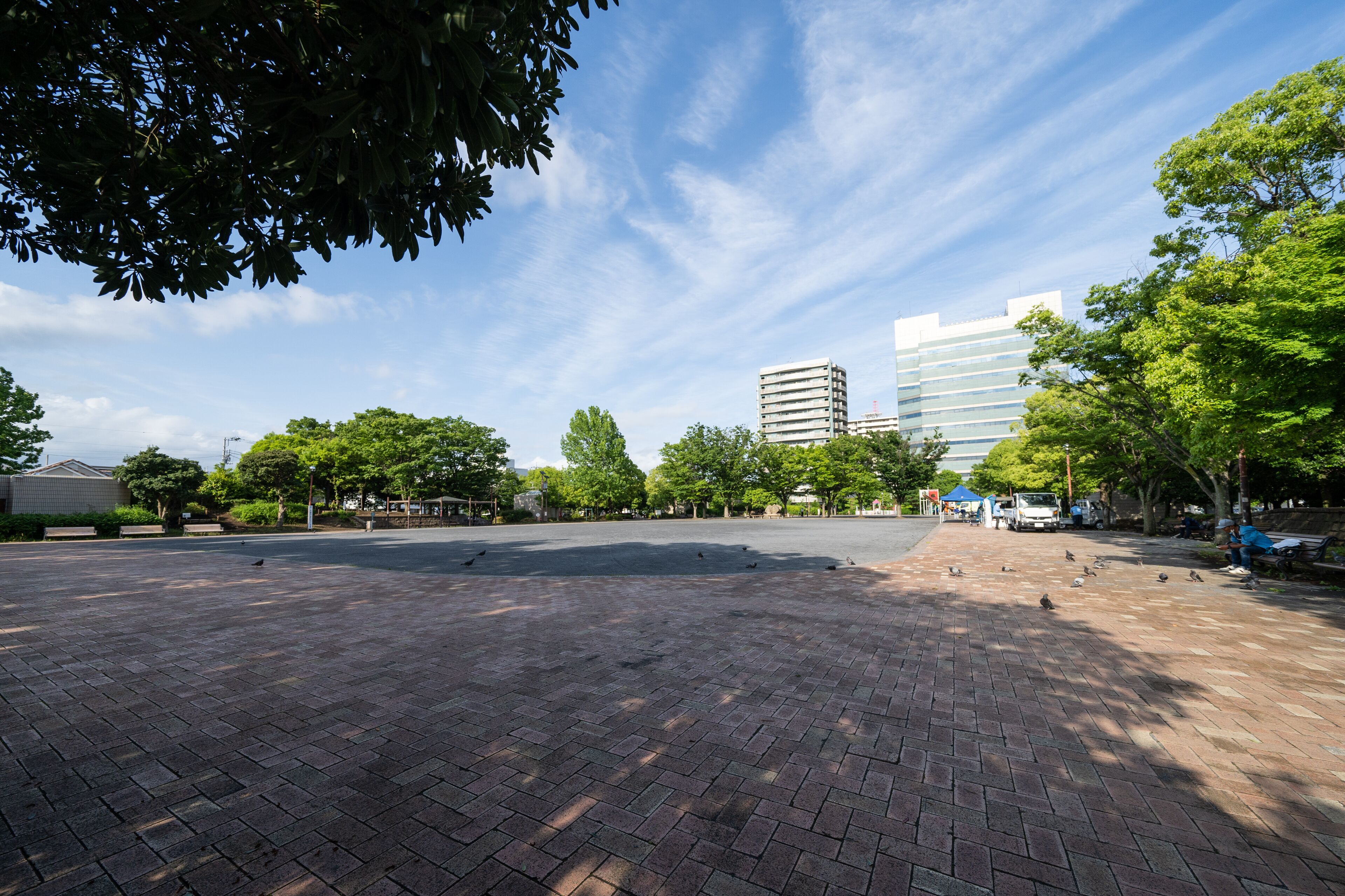 A spacious paved area with trees and a modern building in the background.