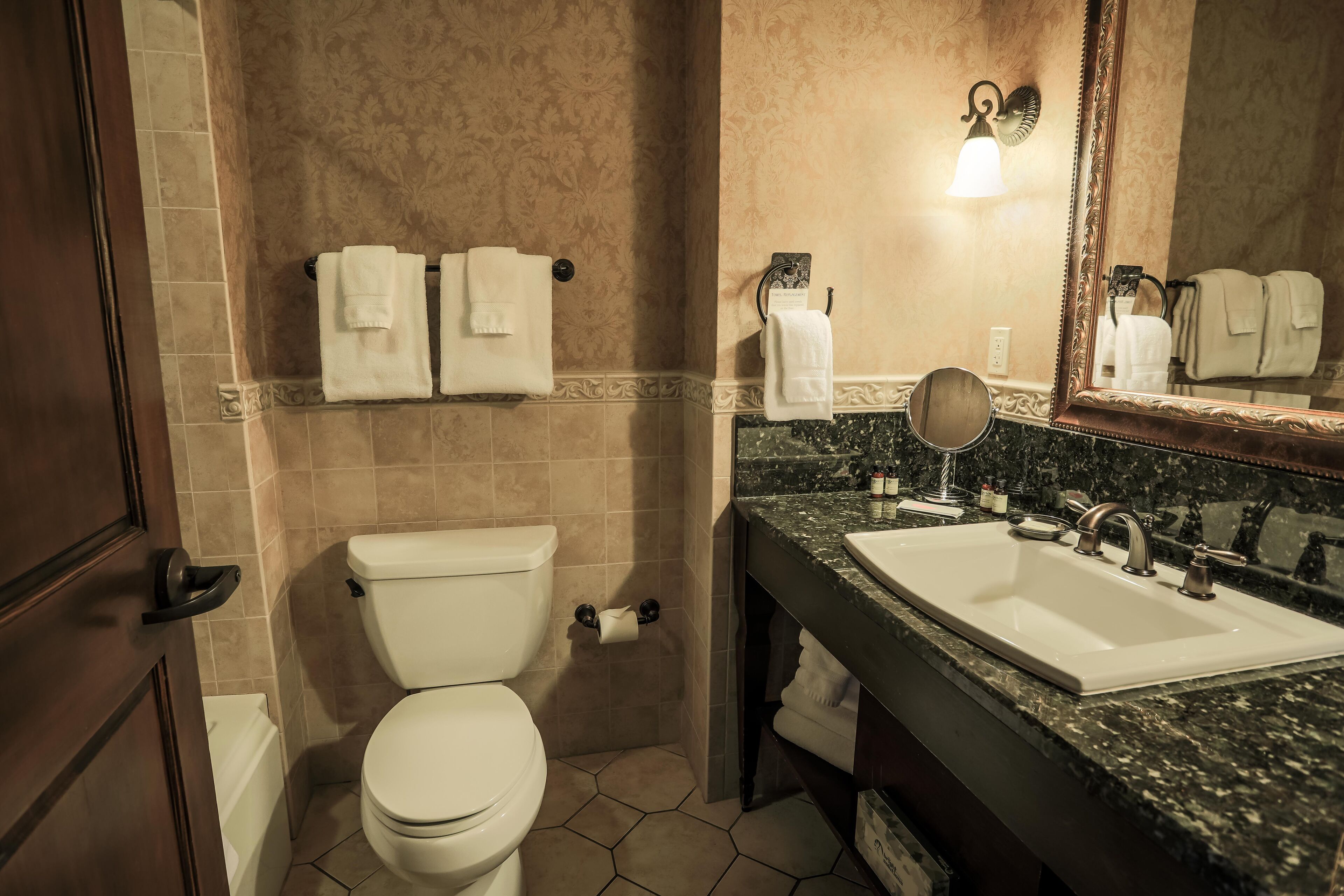 combined shower/bathtub, free toiletries, hair dryer, towels