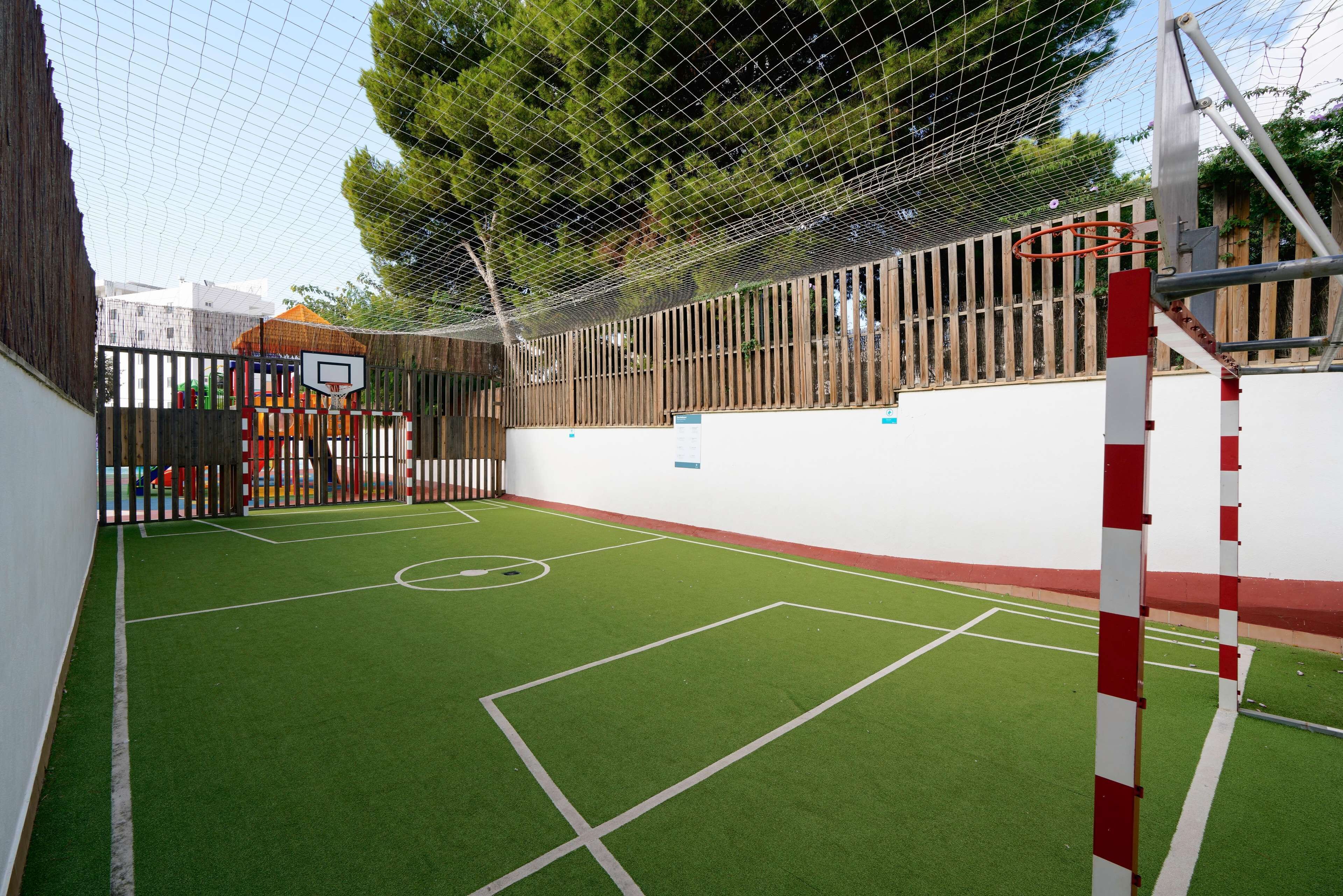 Basketball court