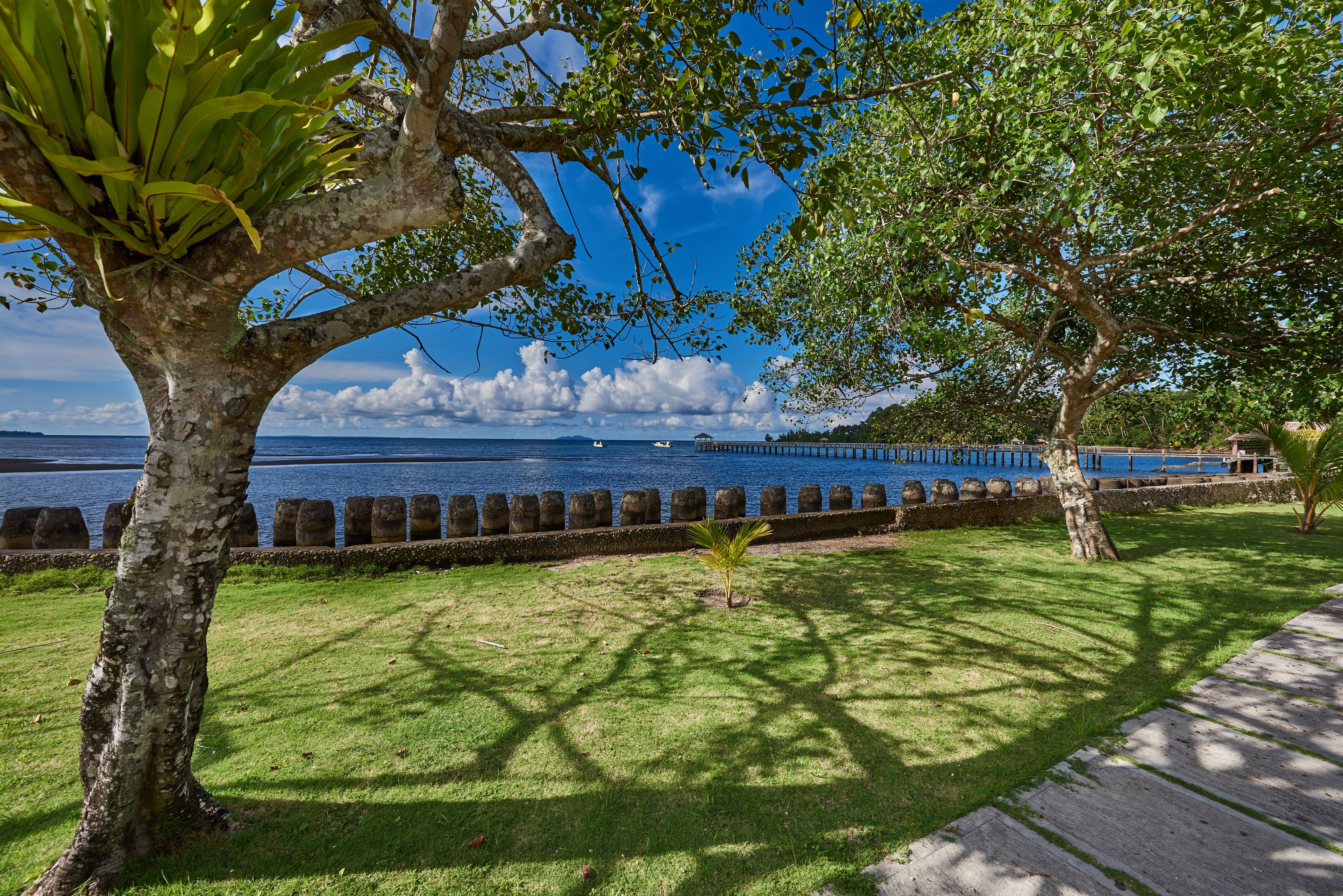 Deluxe Room, Sea View | View from room