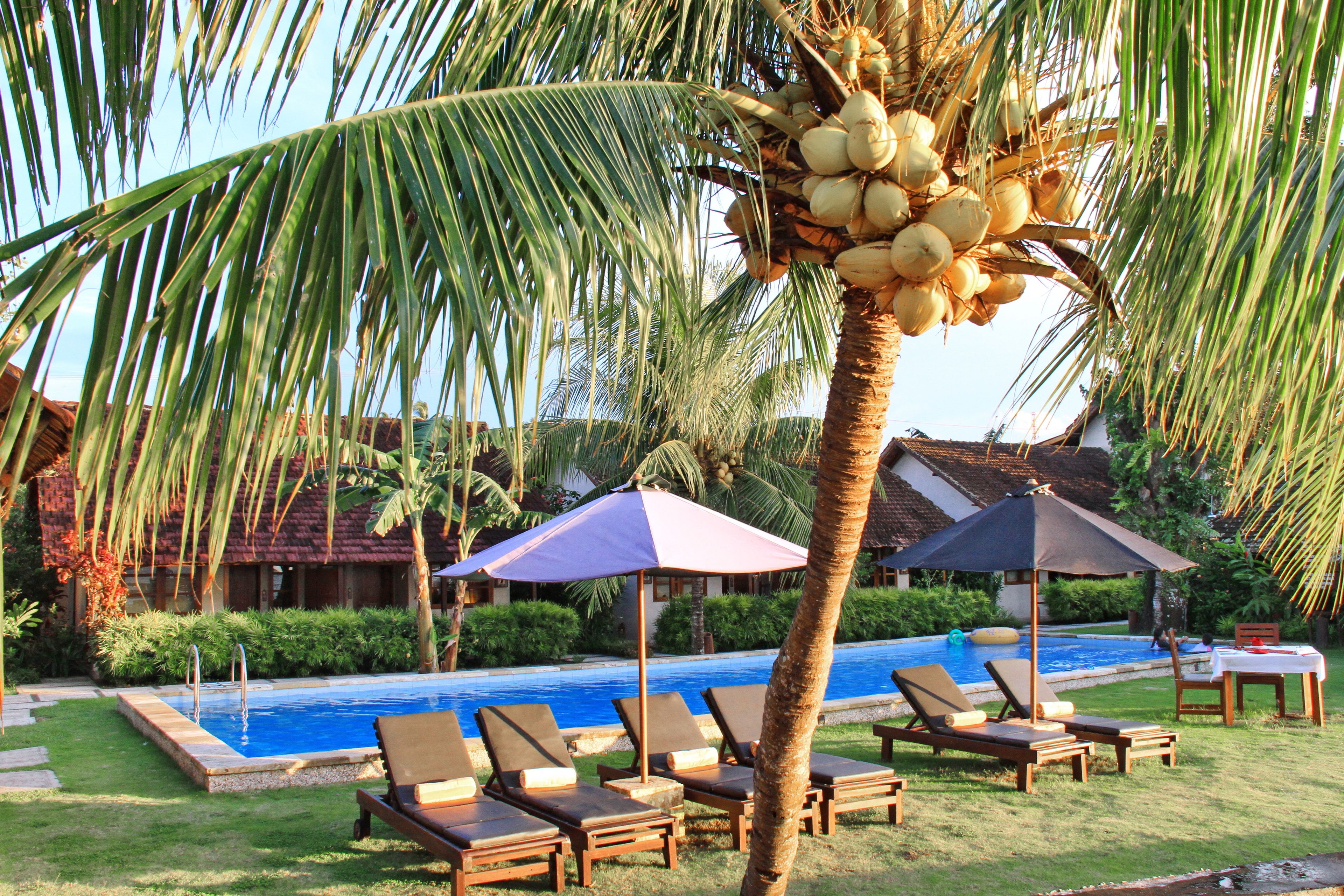 A pool area with lounge chairs and umbrellas, surrounded by palm trees and a building with a tiled roof.
