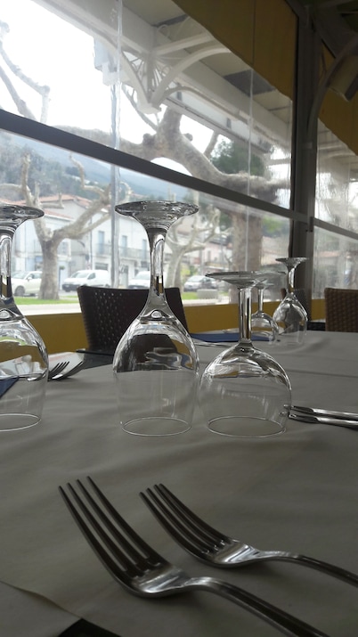 Hotel Branca
