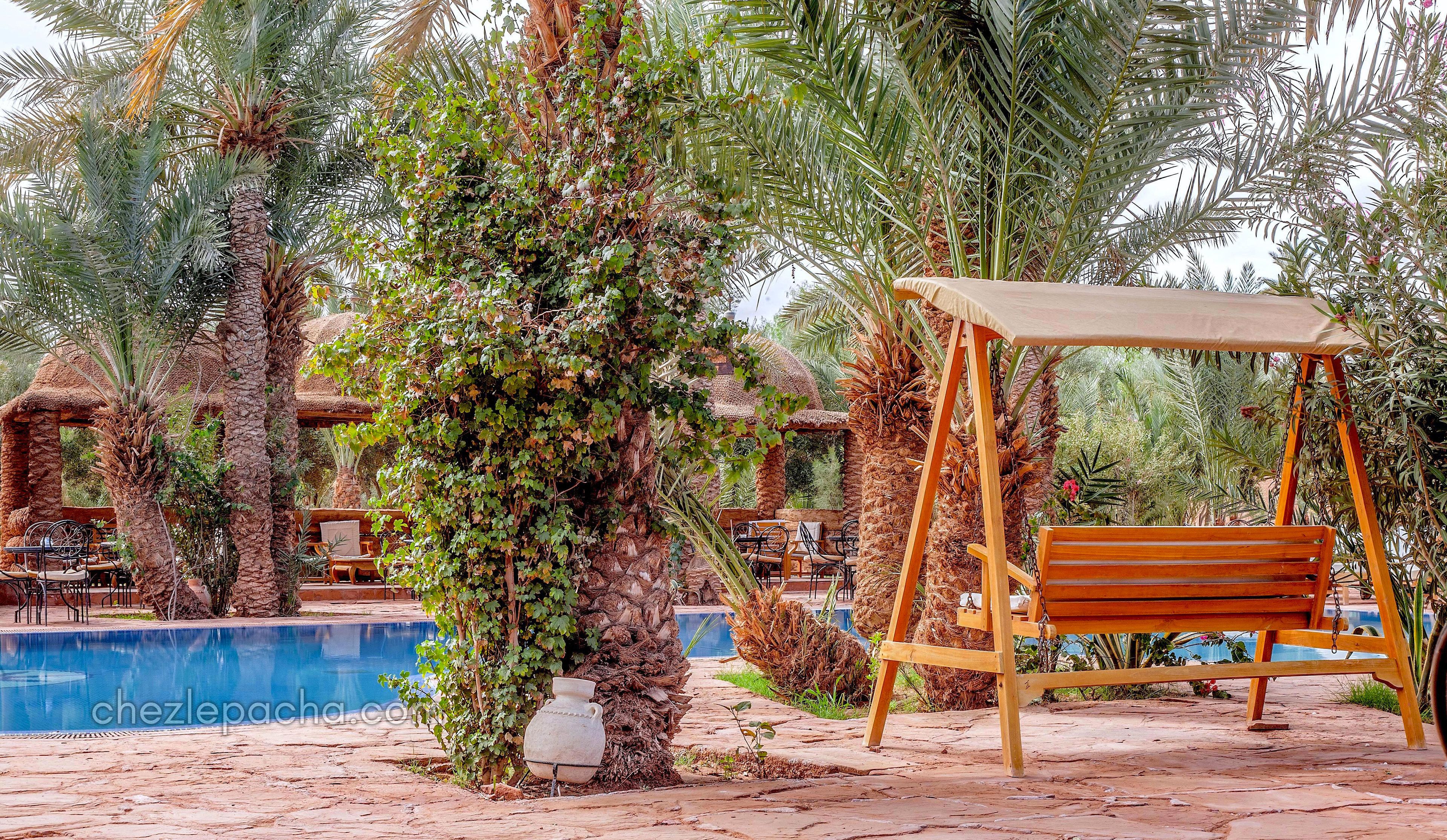 A poolside area with a swing chair, palm trees, and a stone pathway.