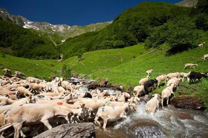 المنطقة المحيطة بالمنشأة