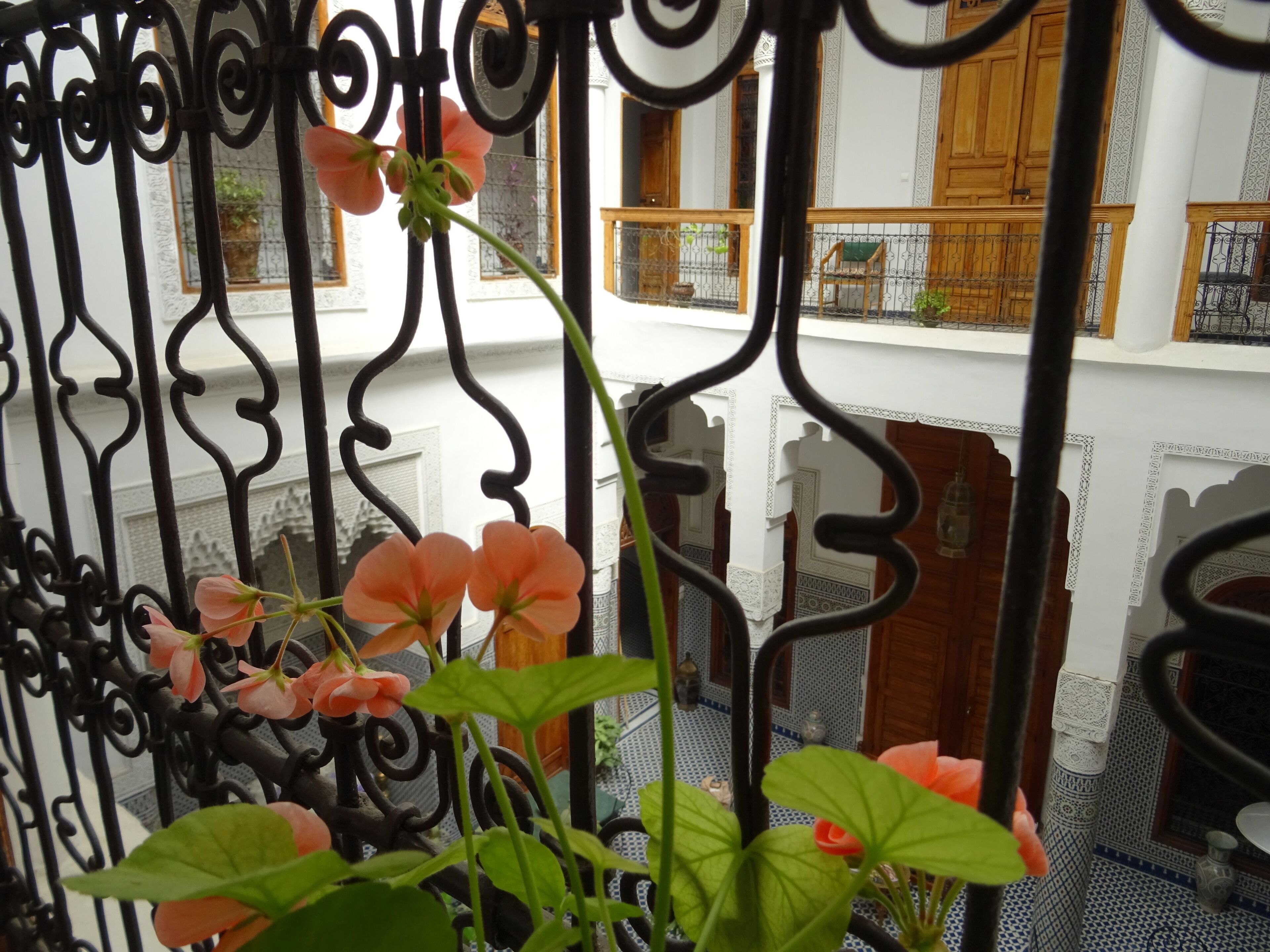 テラス / パティオ