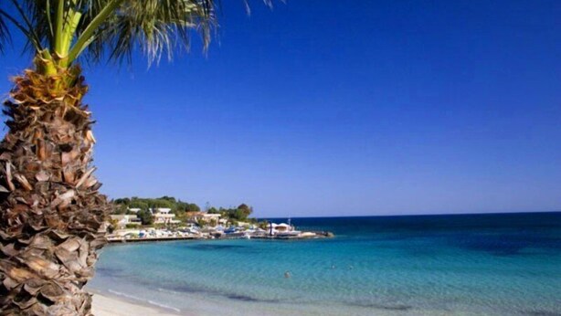 Una playa con agua turquesa cristalina, una palmera y una hilera de edificios al fondo.