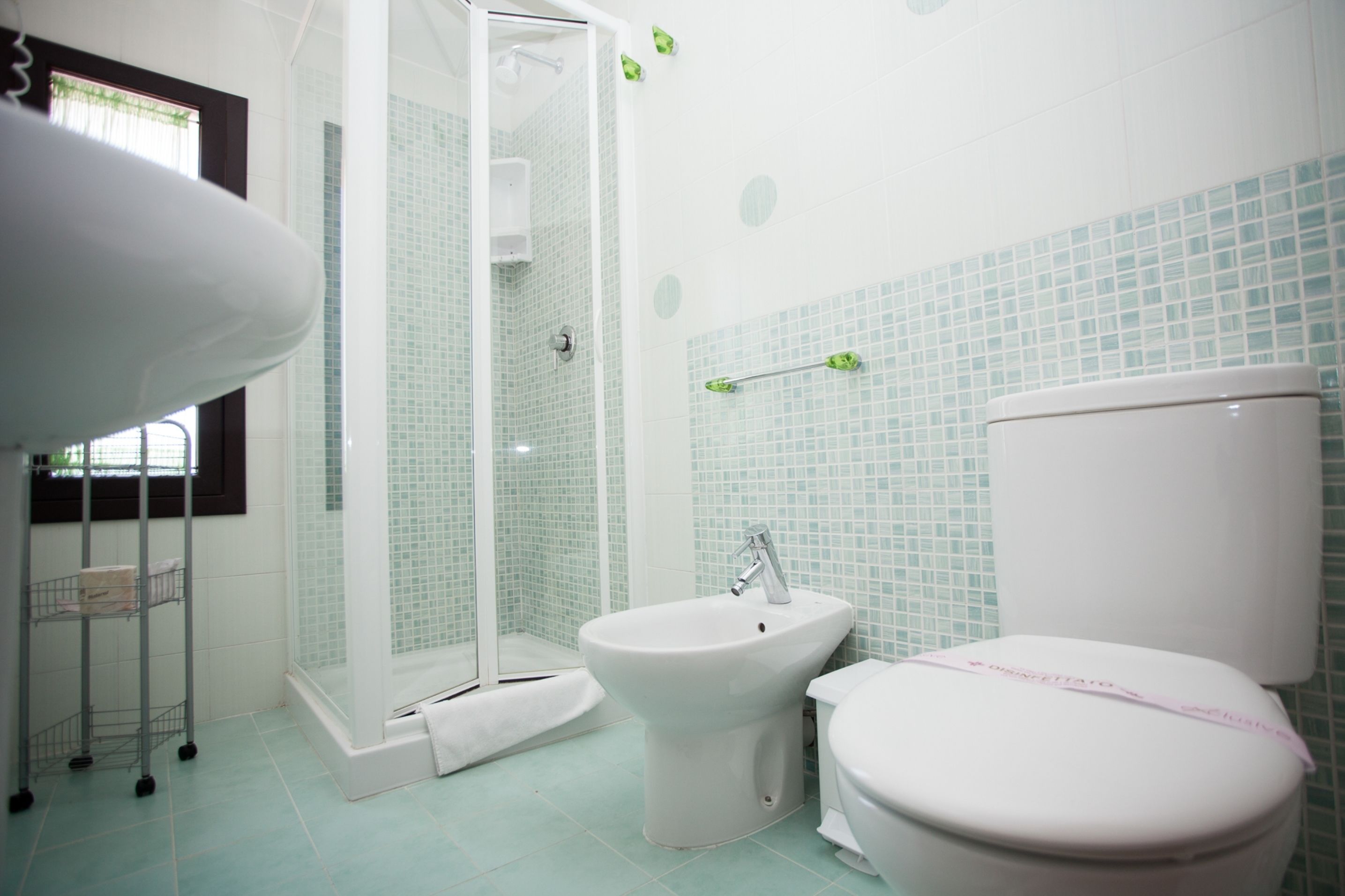 A bathroom with a shower, bidet, and toilet.
