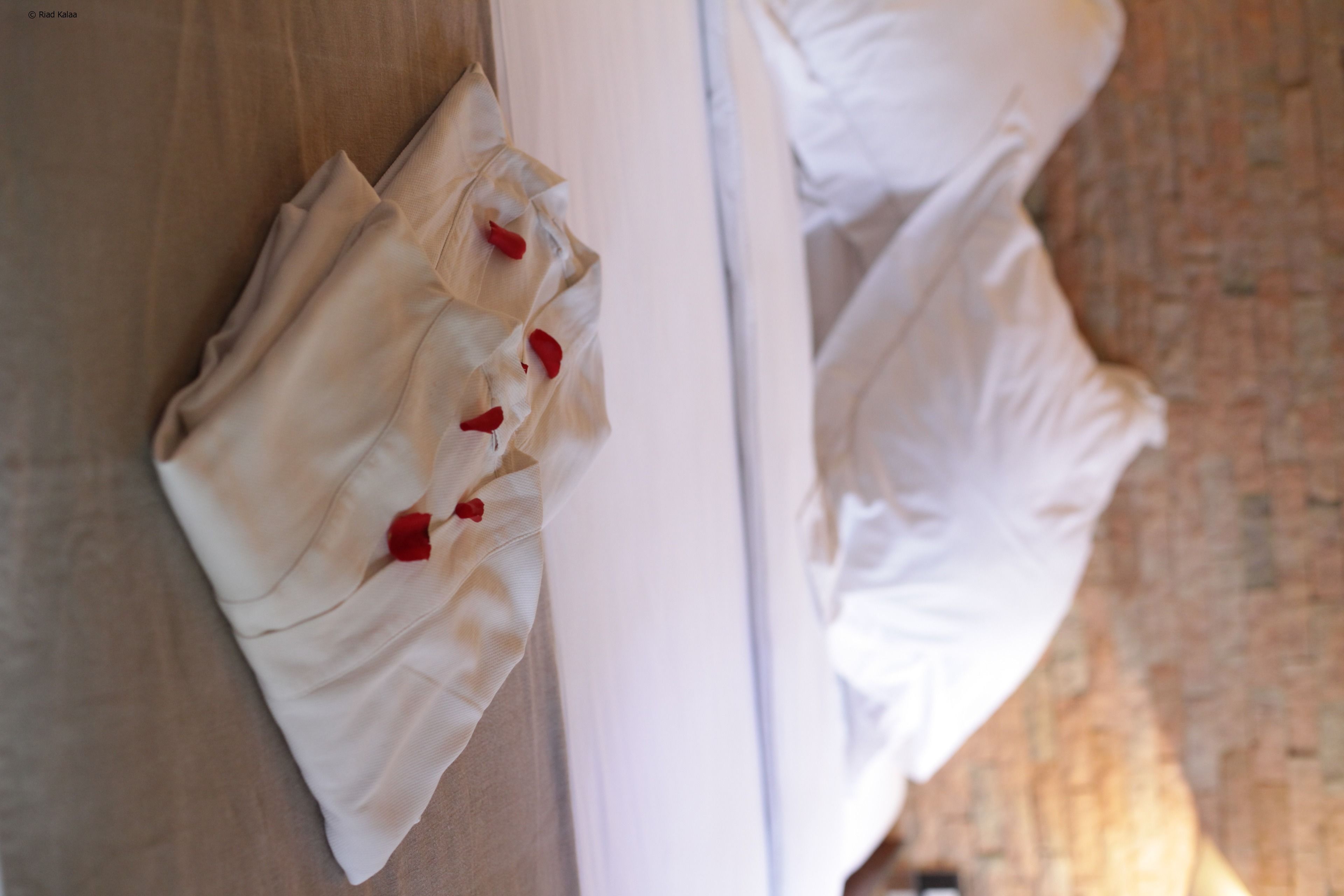 Cama com lençóis brancos e pétalas de rosa vermelhas.