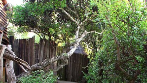 A wooden pathway leading through a garden with a wooden fence and trees. - Addo Dung Beetle Guest Farm (Addo)
