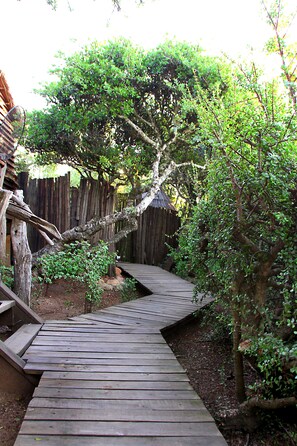 Single beds (3) | Bathroom | Towels, toilet paper - Addo Dung Beetle Guest Farm (Addo)