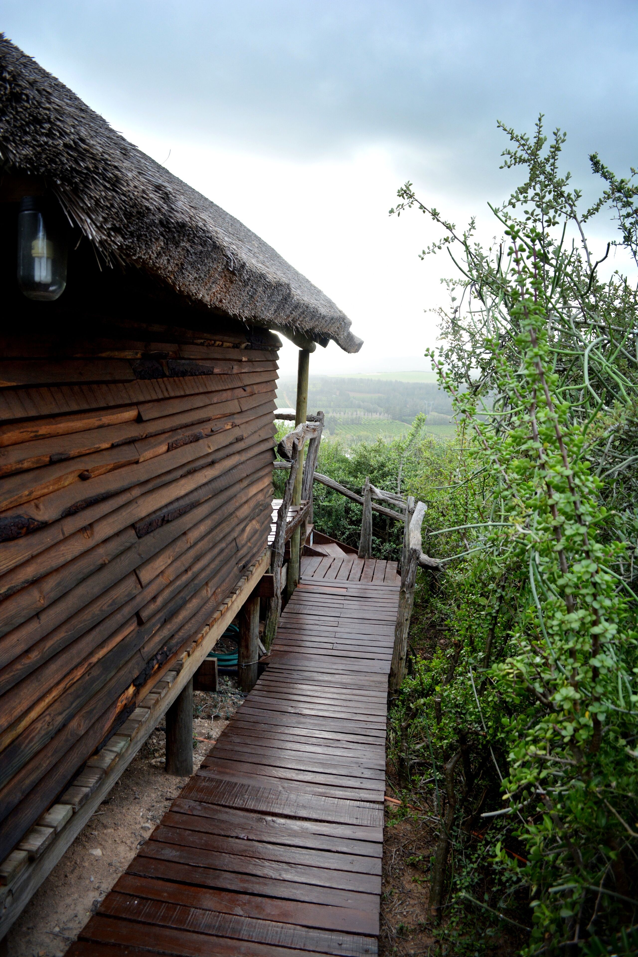 Single beds (3) | Select Comfort beds, individually decorated, individually furnished