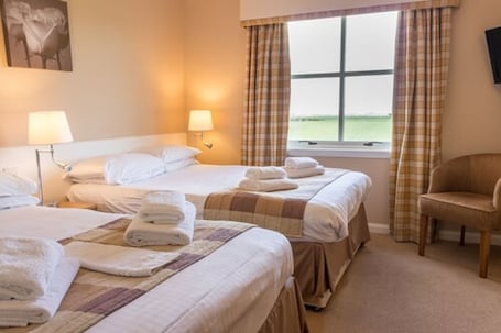 Family Room (For 4) | Desk, iron/ironing board, free WiFi, bed sheets