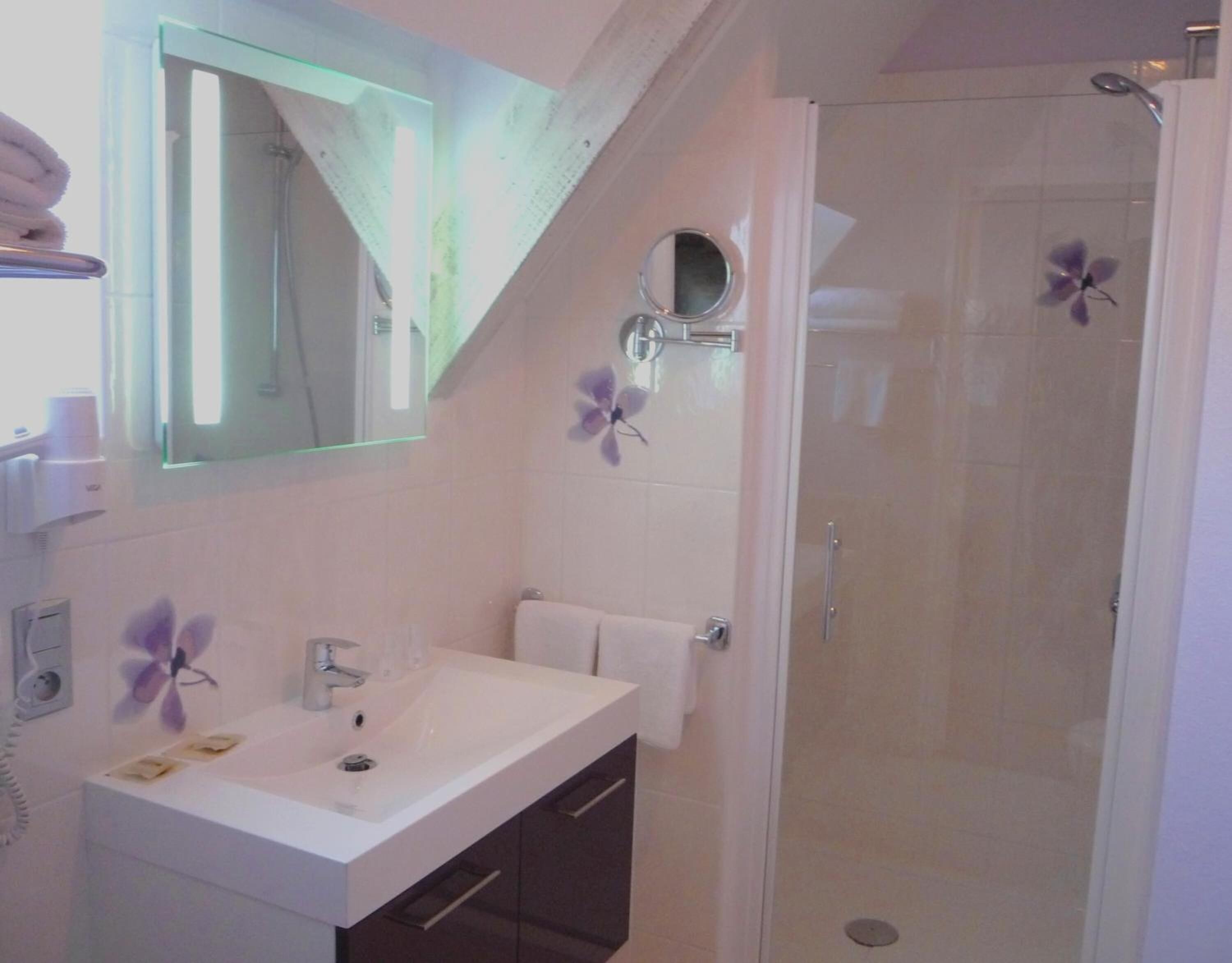 shower, free toiletries, hair dryer