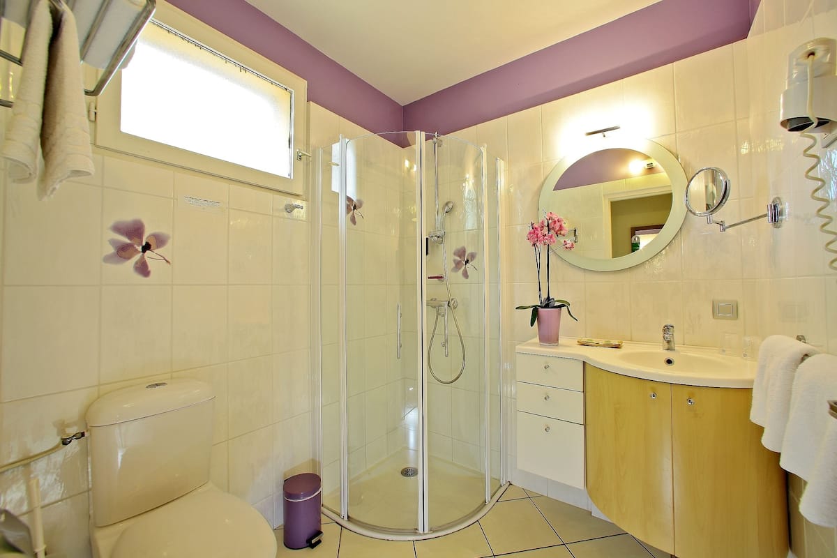 shower, free toiletries, hair dryer