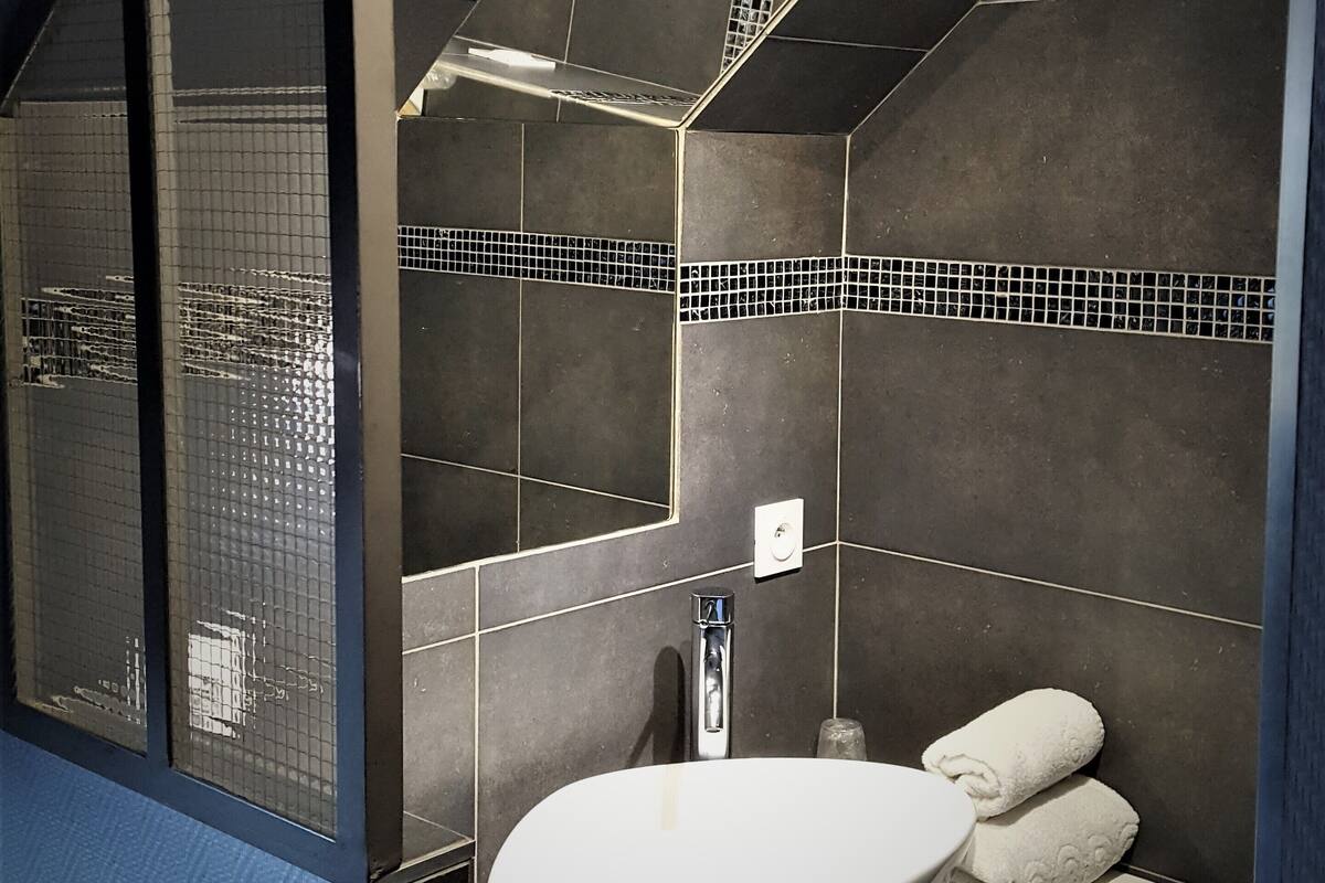 double room | bathroom | shower, hydromassage showerhead, free toiletries, hair dryer
