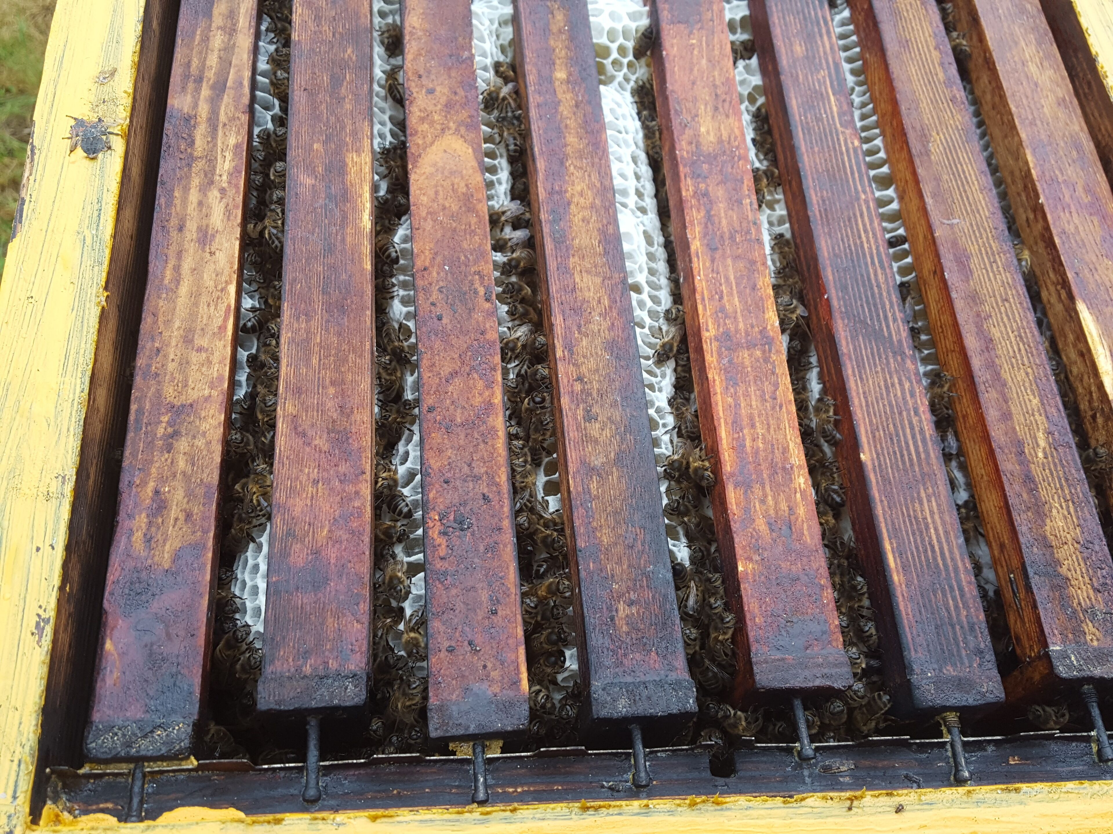 A close-up of a wooden structure with multiple compartments, likely part of a beekeeping setup.