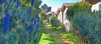 バイド エー ウィー イン